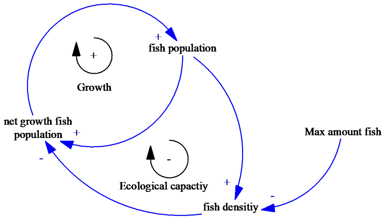 Causal Loop Diagram