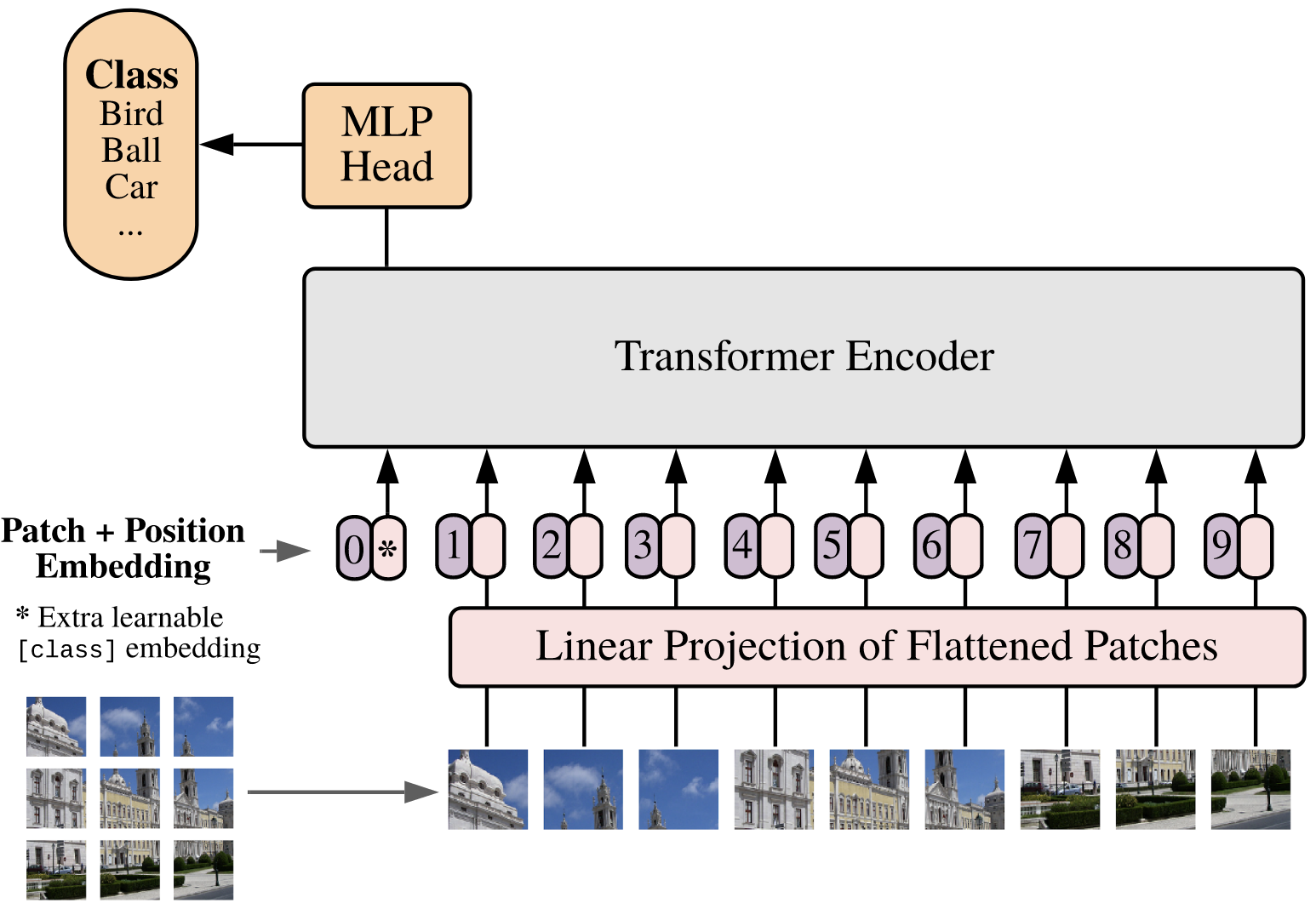Vision Transformer Architecture